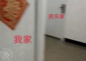 图片加载中...