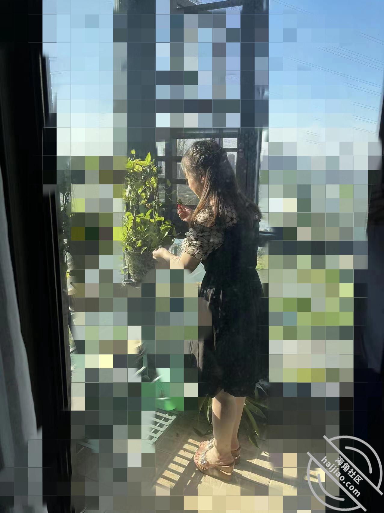 图片加载中...