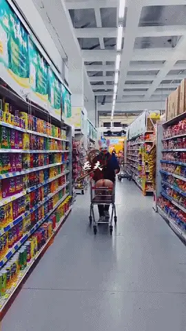 图片加载中...