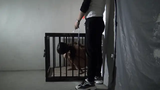 图片加载中...