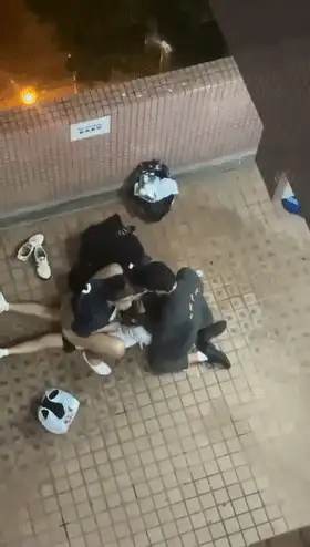 图片加载中...