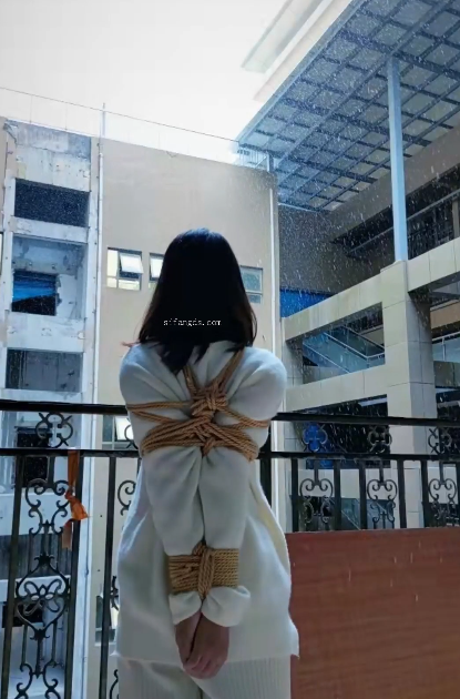 图片加载中...